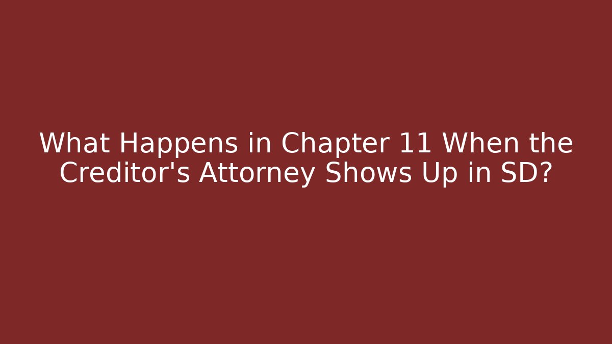 What Happens in Chapter 11 When the Creditor's Attorney Shows Up in SD?