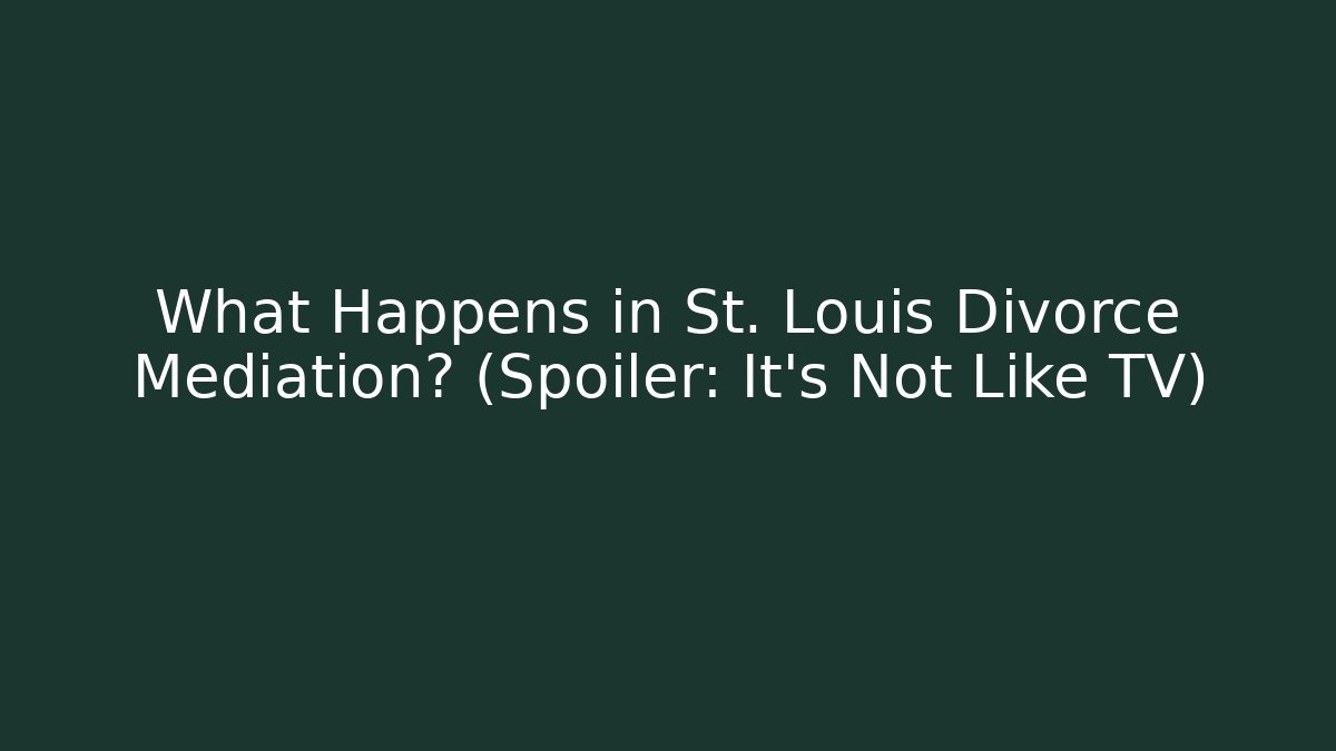 What Happens in St. Louis Divorce Mediation? (Spoiler: It’s Not Like TV)