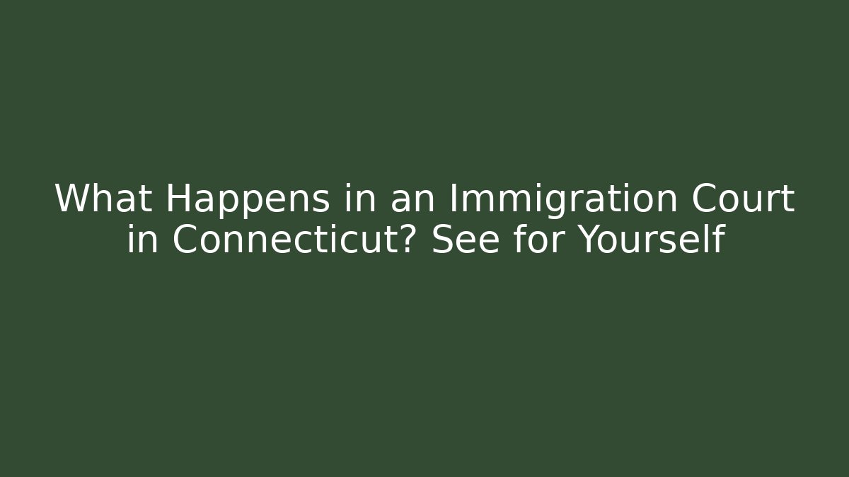 What Happens in an Immigration Court in Connecticut? See for Yourself