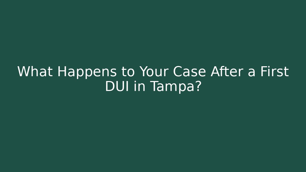 What Happens to Your Case After a First DUI in Tampa?