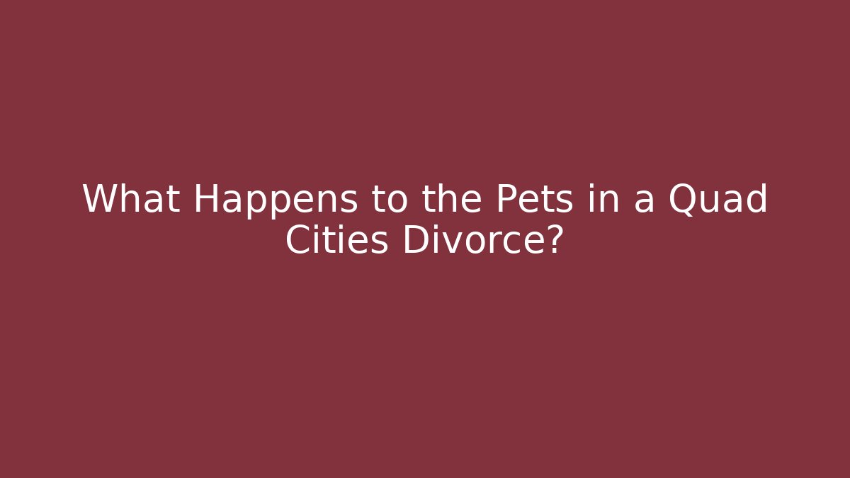 What Happens to the Pets in a Quad Cities Divorce?