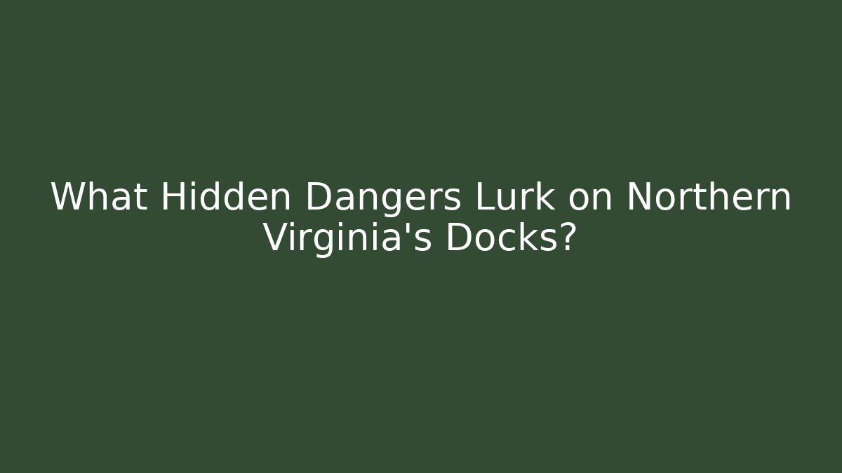 What Hidden Dangers Lurk on Northern Virginia’s Docks?