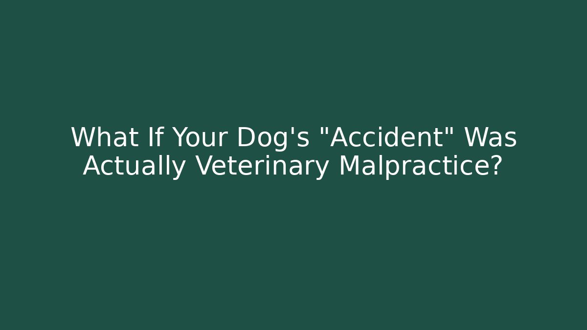 What If Your Dog’s “Accident” Was Actually Veterinary Malpractice?