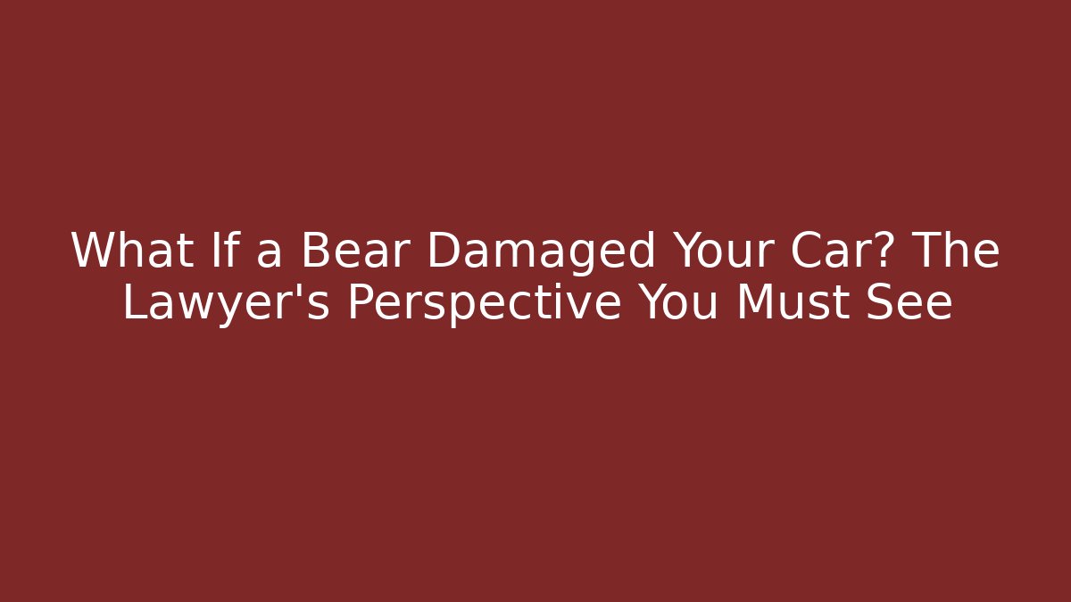 What If a Bear Damaged Your Car? The Lawyer’s Perspective You Must See