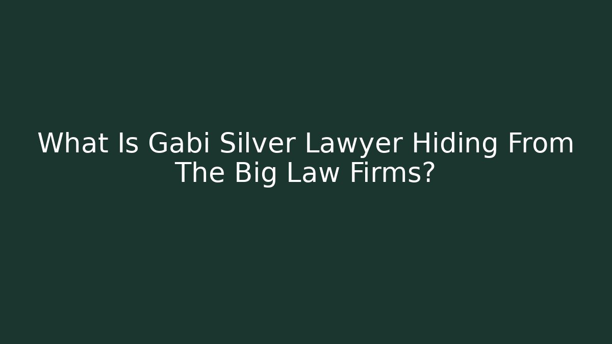 What Is Gabi Silver Lawyer Hiding From The Big Law Firms?