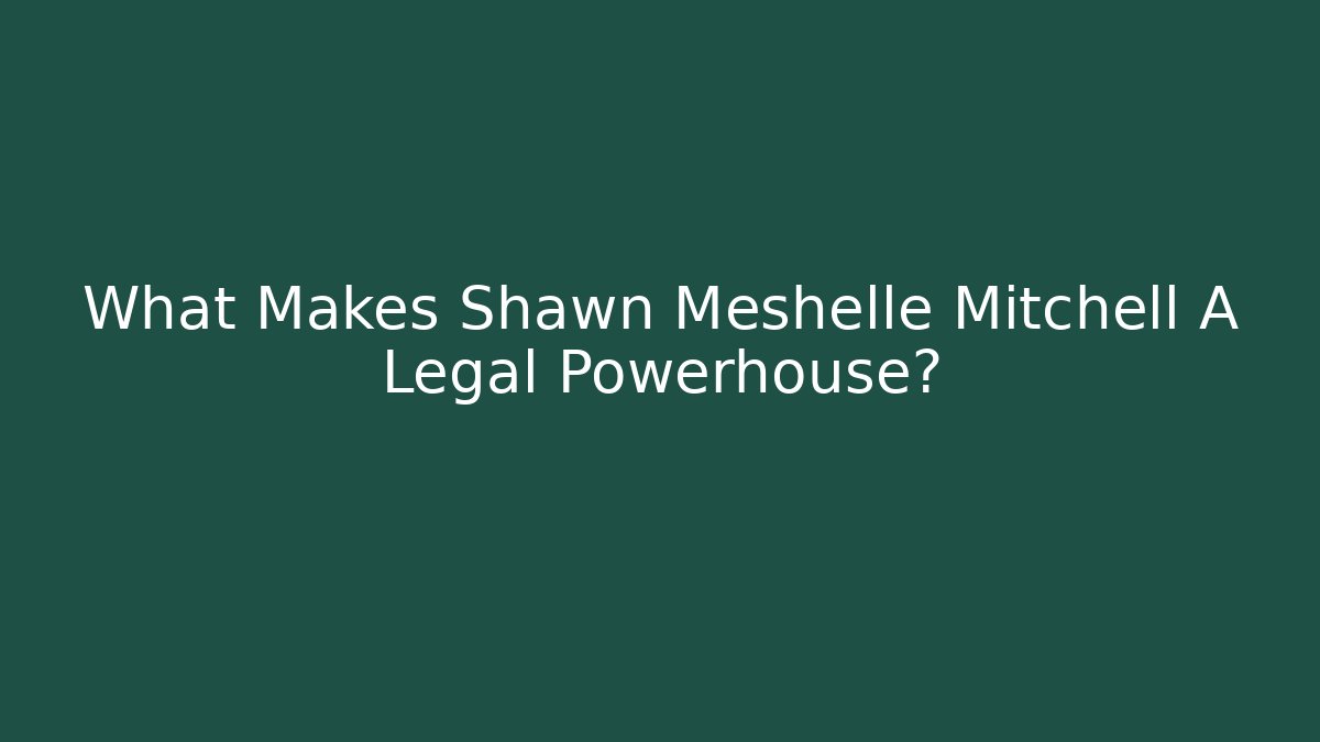 What Makes Shawn Meshelle Mitchell A Legal Powerhouse?