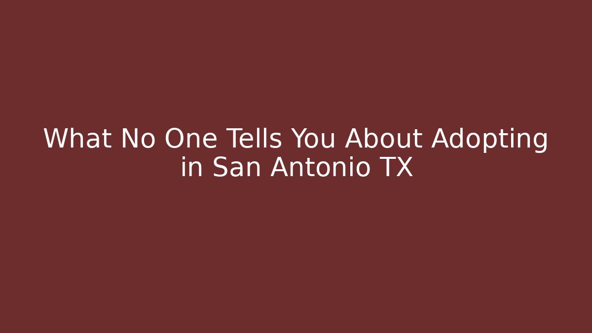 What No One Tells You About Adopting in San Antonio TX