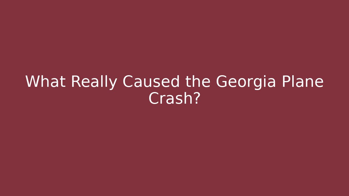 What Really Caused the Georgia Plane Crash?