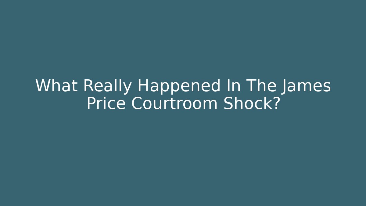 What Really Happened In The James Price Courtroom Shock?