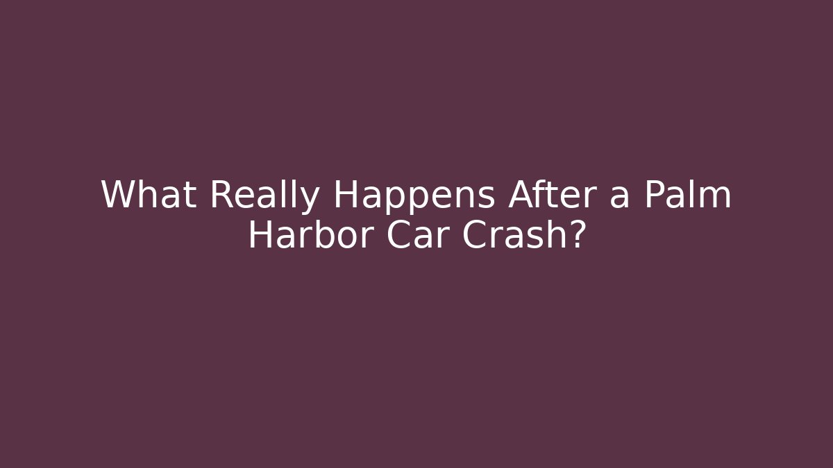 What Really Happens After a Palm Harbor Car Crash? - WealthxGroup