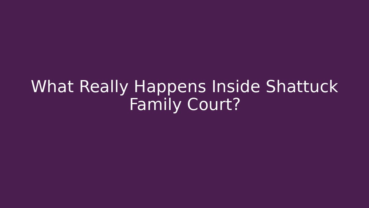 What Really Happens Inside Shattuck Family Court?