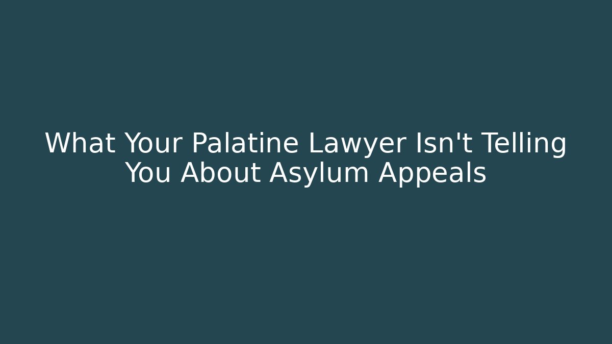 What Your Palatine Lawyer Isn’t Telling You About Asylum Appeals