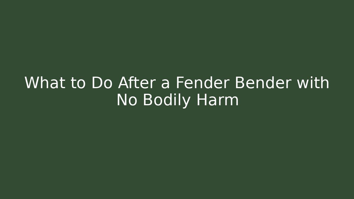 What to Do After a Fender Bender with No Bodily Harm - WealthxGroup