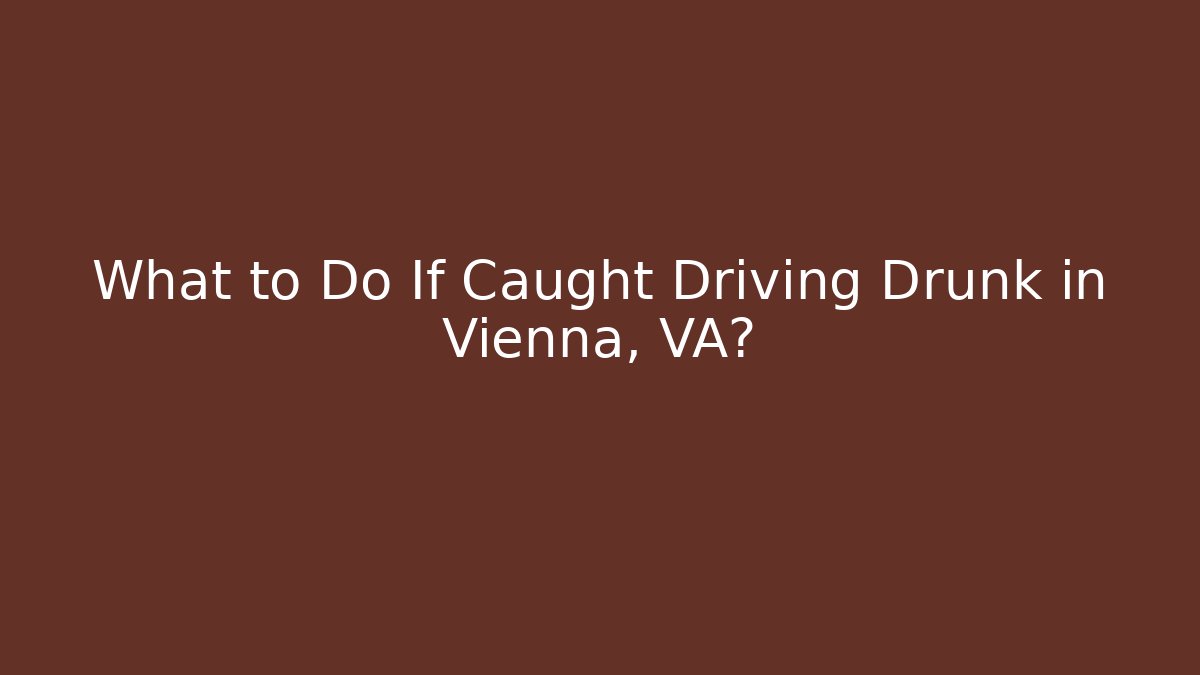 What to Do If Caught Driving Drunk in Vienna, VA?