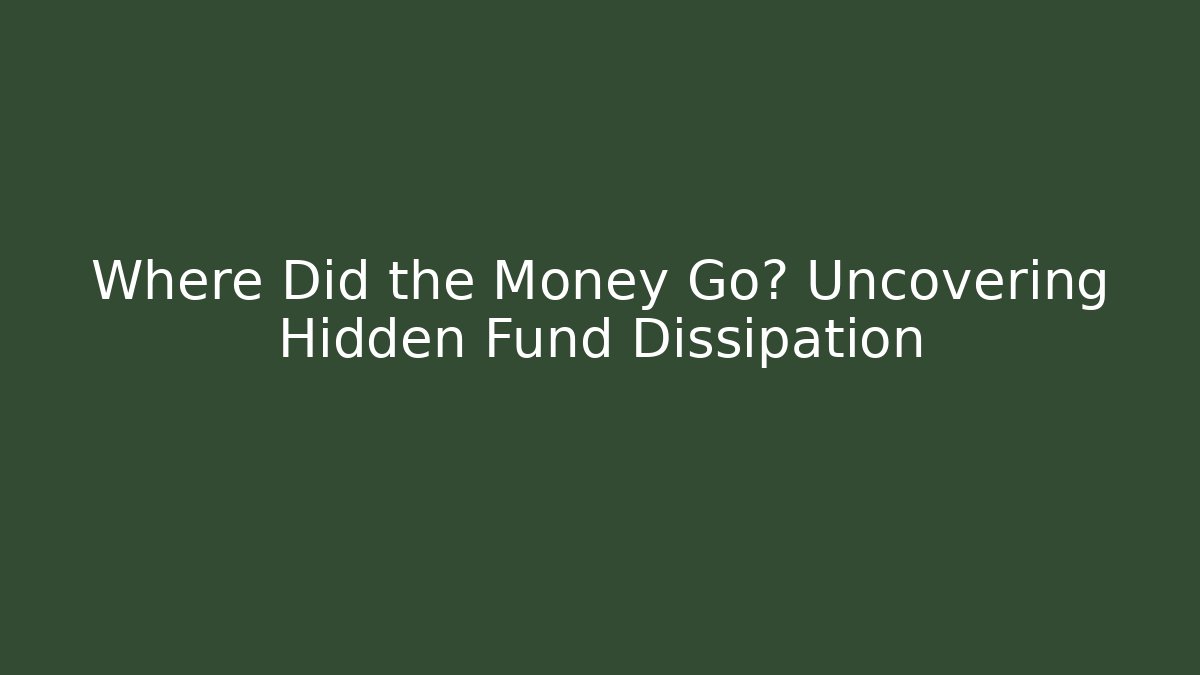 Where Did the Money Go? Uncovering Hidden Fund Dissipation