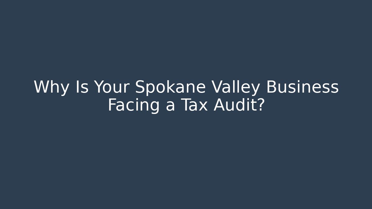 Why Is Your Spokane Valley Business Facing a Tax Audit?