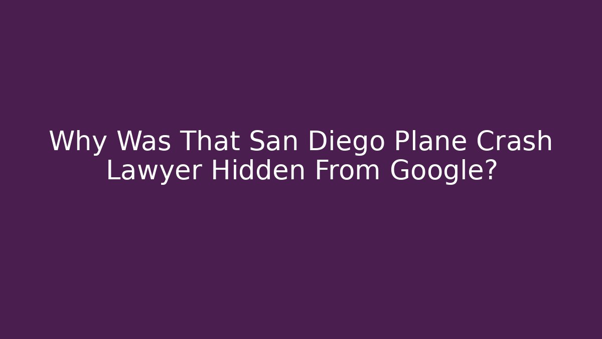 Why Was That San Diego Plane Crash Lawyer Hidden From Google?