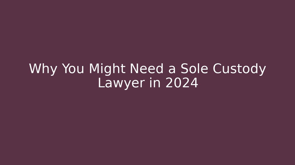 Why You Might Need a Sole Custody Lawyer in 2024