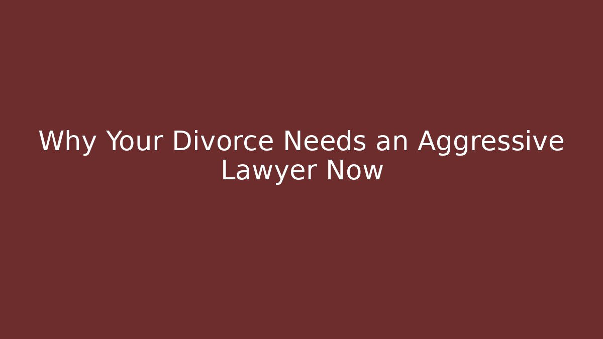 Why Your Divorce Needs an Aggressive Lawyer Now
