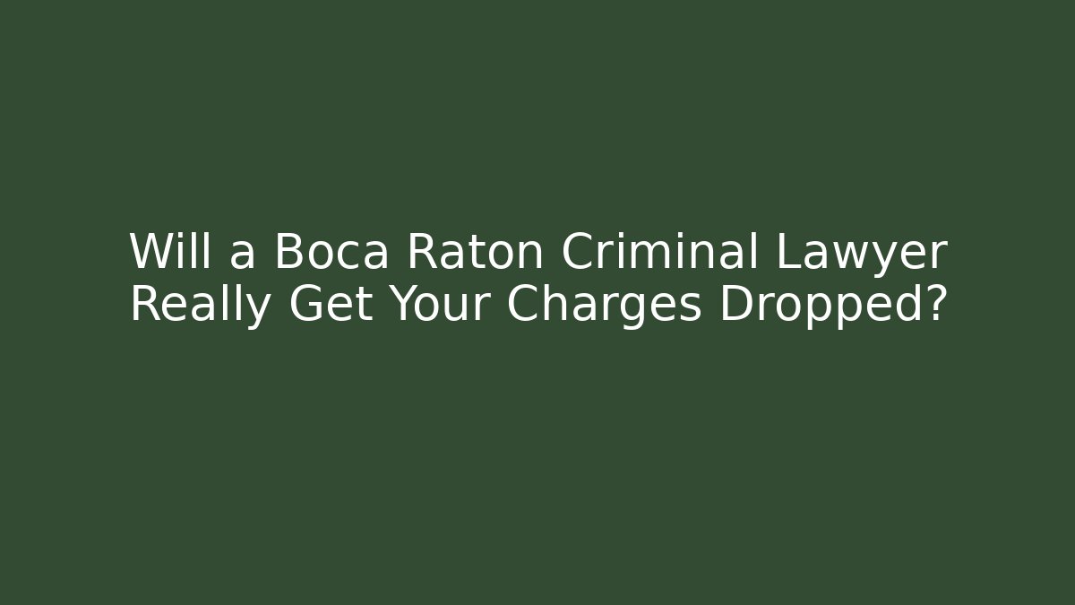 Will a Boca Raton Criminal Lawyer Really Get Your Charges Dropped?