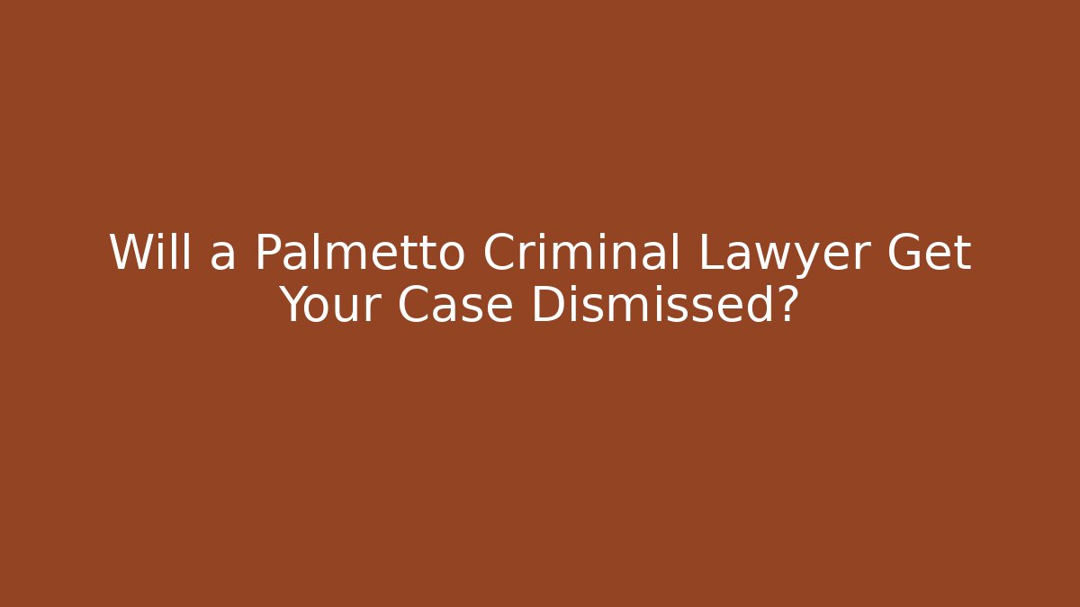 Will a Palmetto Criminal Lawyer Get Your Case Dismissed?