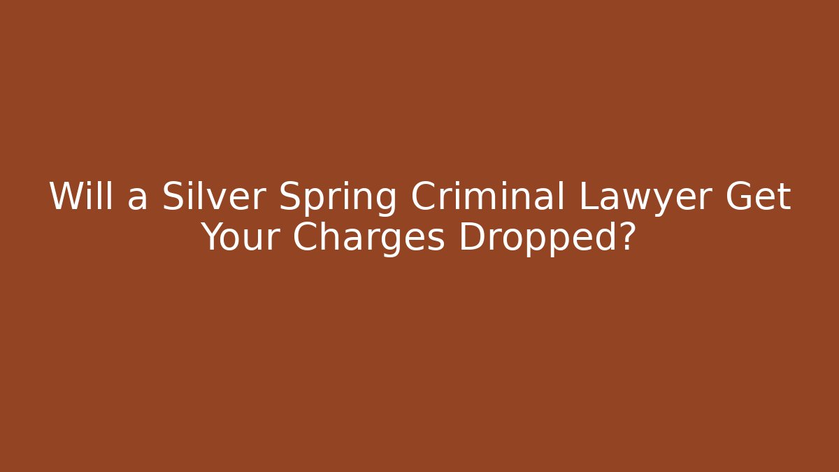 Will a Silver Spring Criminal Lawyer Get Your Charges Dropped?