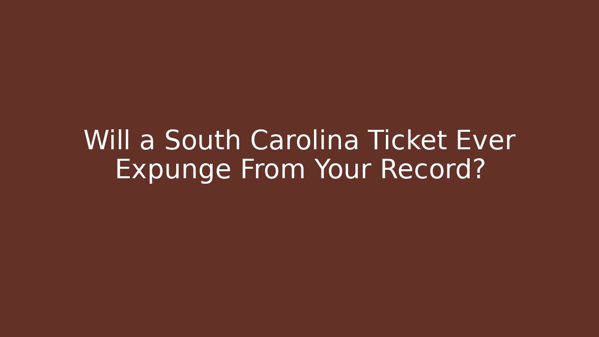 Will a South Carolina Ticket Ever Expunge From Your Record?
