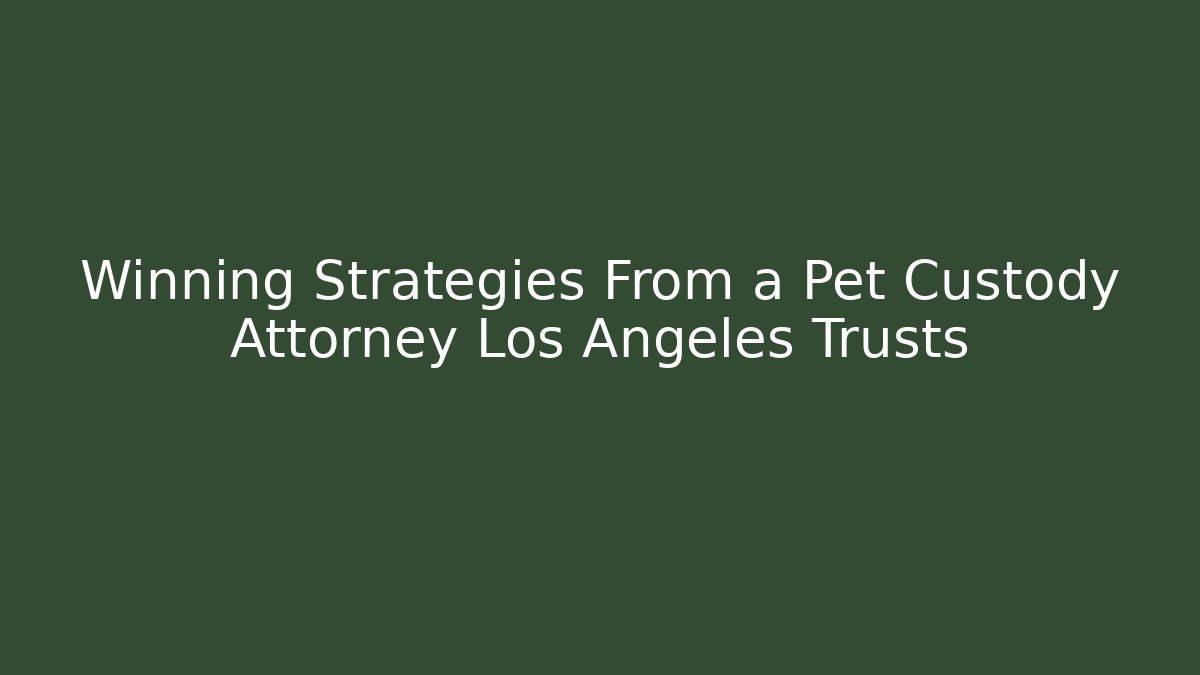 Winning Strategies From a Pet Custody Attorney Los Angeles Trusts - WealthxGroup