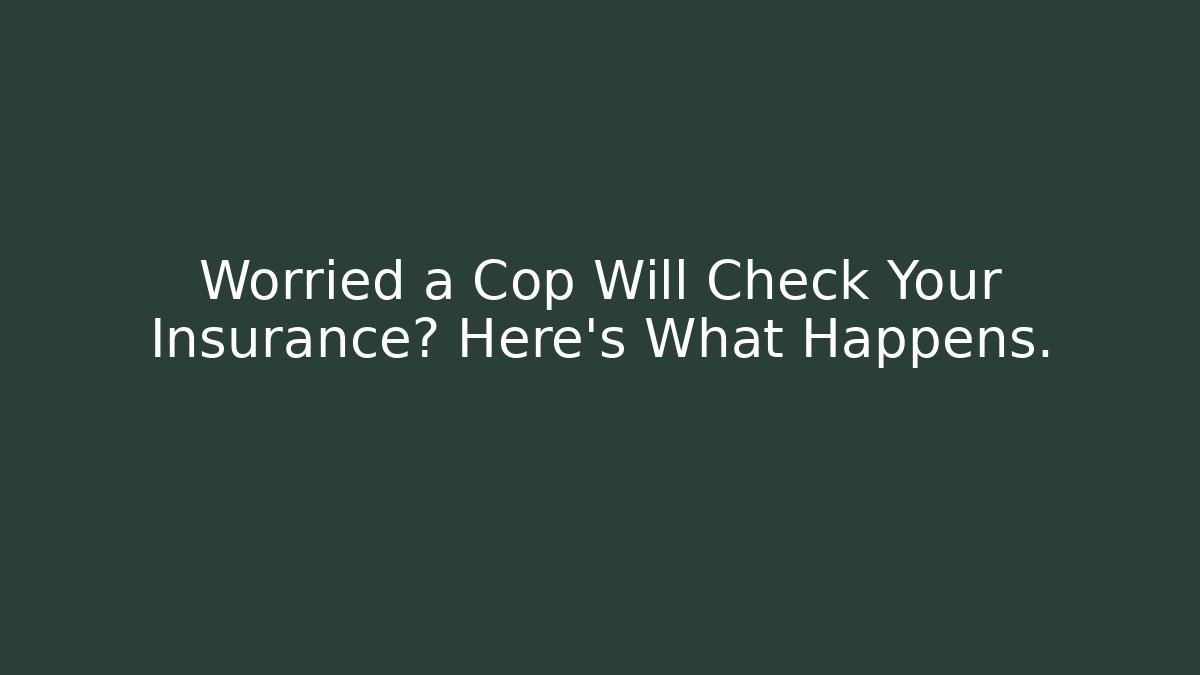 Worried a Cop Will Check Your Insurance? Here’s What Happens.
